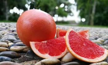 西柚怎么挑选好吃的?掌握这些技巧轻松选到优质西柚 西柚怎么挑选好吃的?掌握这些技巧轻松选到优质西柚