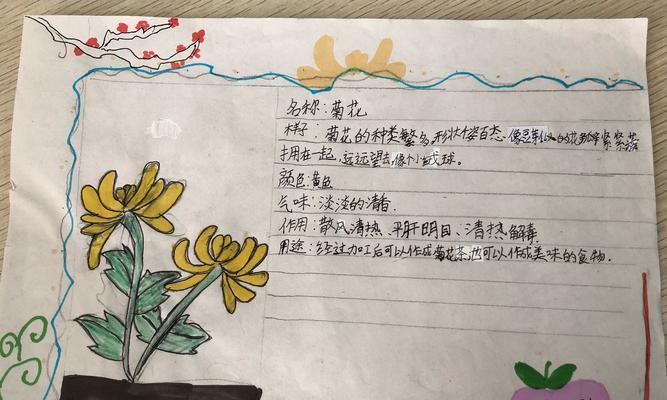 菊花茶采摘时间是什么时候?收获季节有哪些注意事项? 菊花茶采摘时间是什么时候?收获季节有哪些注意事项?