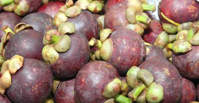 山竹怎么看熟没熟?掌握这四个技巧轻松判断山竹成熟度 山竹怎么看熟没熟?掌握这四个技巧轻松判断山竹成熟度