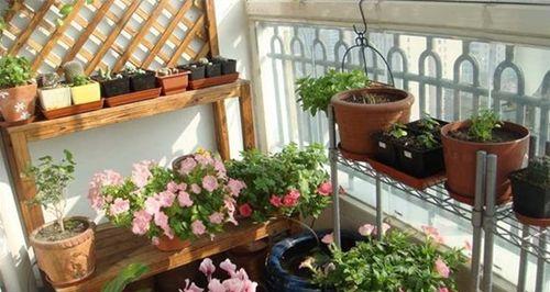 封闭阳台适合养什么花卉植物?如何选择适合的植物种类? 封闭阳台适合养什么花卉植物?如何选择适合的植物种类?