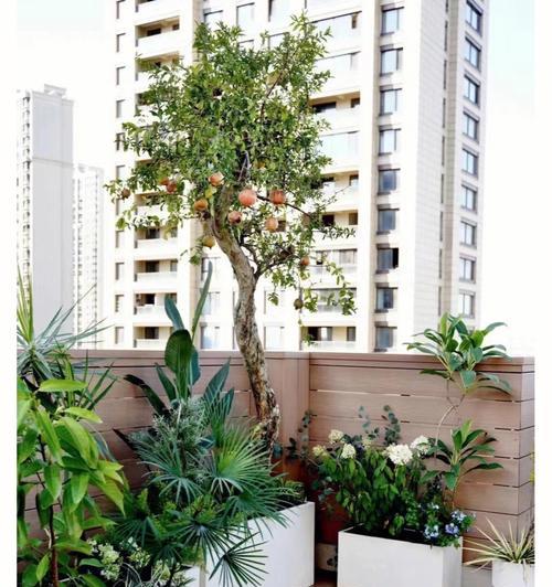 封闭阳台适合养什么花卉植物？如何选择适合的植物种类？
