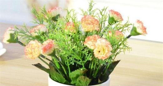 康乃馨喜欢阳光吗?如何正确为康乃馨提供光照? 康乃馨喜欢阳光吗?如何正确为康乃馨提供光照?