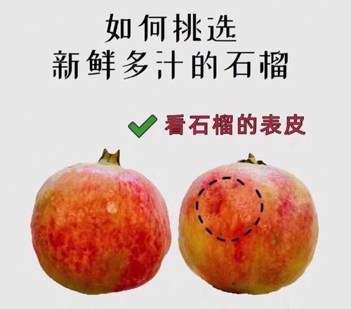 石榴籽的性质是什么?热性还是凉性? 石榴籽的性质是什么?热性还是凉性?