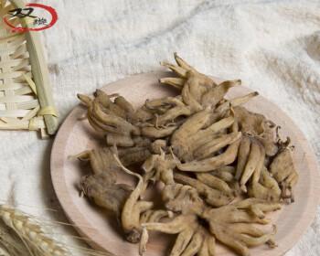 手掌参的功效与作用是什么?如何正确使用手掌参? 手掌参的功效与作用是什么?如何正确使用手掌参?