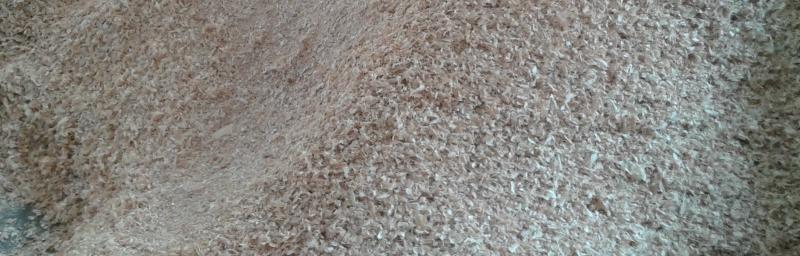 木粉能用作肥料吗?使用木粉作为肥料的正确方法是什么? 木粉能用作肥料吗?使用木粉作为肥料的正确方法是什么?