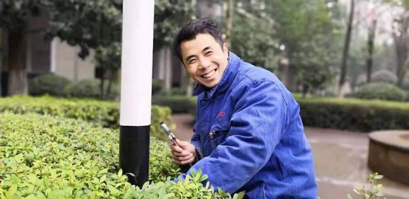 对节白腊下山桩养护方法是什么？如何确保其健康生长？