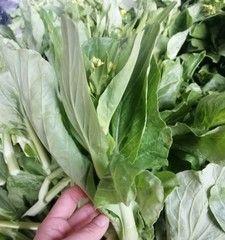 白菜苔在哪个季节最鲜嫩?如何挑选新鲜白菜苔? 白菜苔在哪个季节最鲜嫩?如何挑选新鲜白菜苔?