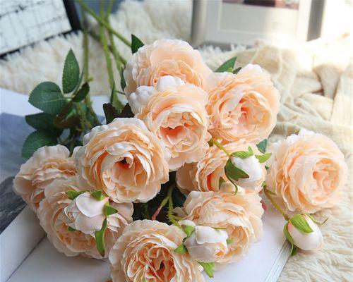 香槟玫瑰怎么醒花?醒花的最佳方法和步骤是什么? 香槟玫瑰怎么醒花?醒花的最佳方法和步骤是什么?