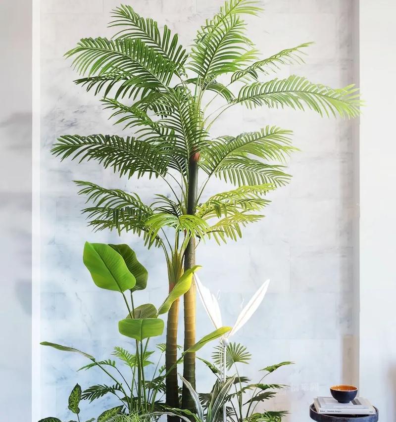 热带雨林植物有哪些种类?它们的生存特点是什么? 热带雨林植物有哪些种类?它们的生存特点是什么?