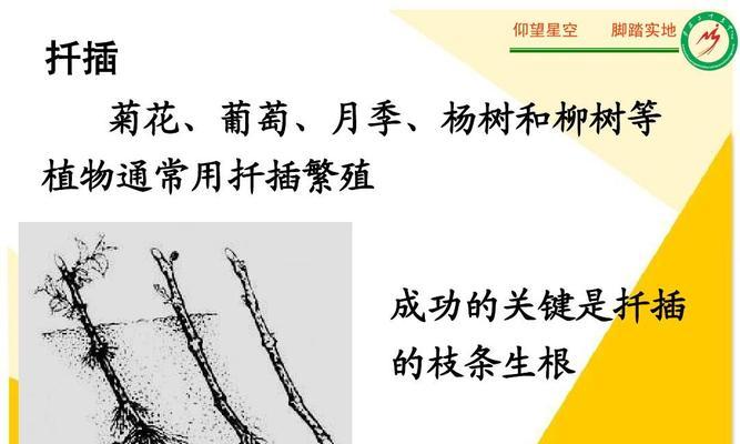 如何快速让海棠扦插生根？海棠扦插生根的秘诀是什么？