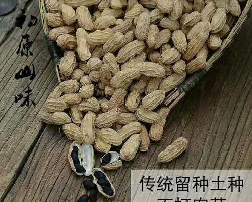 黑花生有哪些神奇的功效与作用?如何正确食用以发挥其最大效果? 黑花生有哪些神奇的功效与作用?如何正确食用以发挥其最大效果?