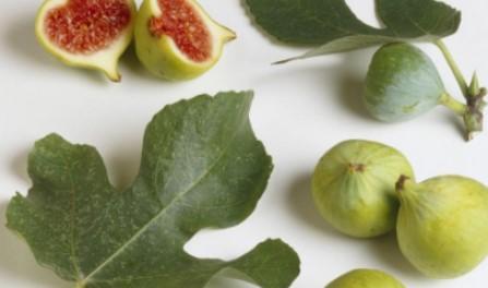 无花果可以直接吃吗?吃无花果有哪些健康益处和推荐吃法? 无花果可以直接吃吗?吃无花果有哪些健康益处和推荐吃法?