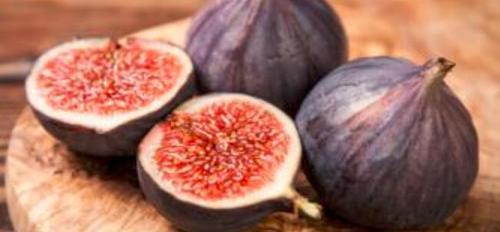 无花果可以直接吃吗?吃无花果有哪些健康益处和推荐吃法? 无花果可以直接吃吗?吃无花果有哪些健康益处和推荐吃法?