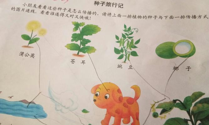 雪莲果发芽不顺利怎么办?快速发芽的秘诀是什么? 雪莲果发芽不顺利怎么办?快速发芽的秘诀是什么?