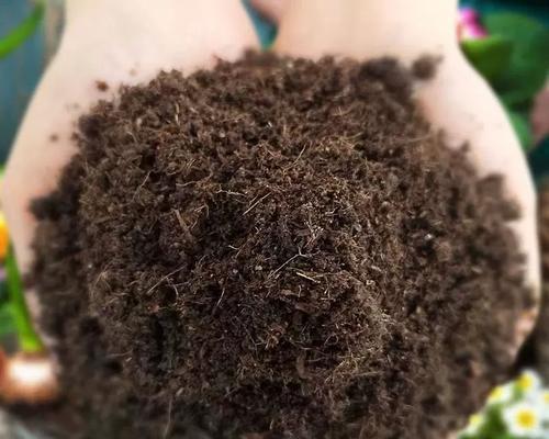 如何自制养花营养土？养花营养土配制步骤是什么？