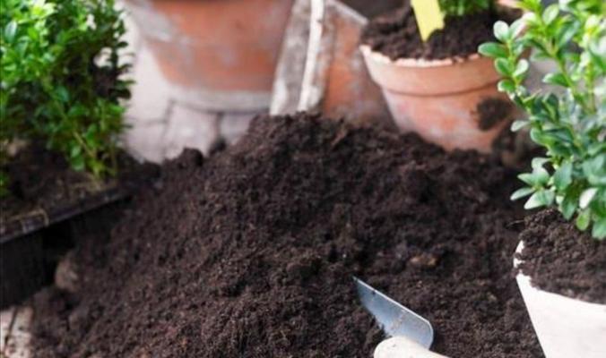 如何自制养花营养土？养花营养土配制步骤是什么？