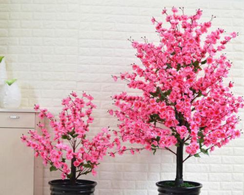 桃花养殖方法有哪些?如何正确养殖桃花?