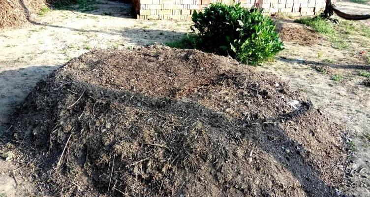 污泥可以做肥料吗？使用污泥作为肥料的利弊是什么？