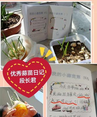 蒜苗浇水频率如何根据季节调整？不同季节浇水有什么讲究？