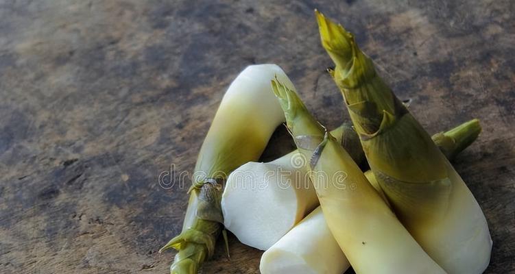 毛竹喜阴还是喜阳？如何正确种植毛竹？