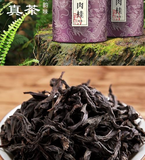 高山肉桂属于什么茶？高山肉桂的茶类归属是什么？