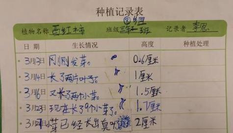 榆树浇水应该在什么时候？如何正确进行？