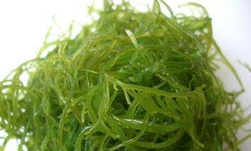 海带是植物吗？它属于海藻类植物吗？