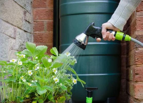 收集雨水浇花好吗？使用雨水的好处有哪些？