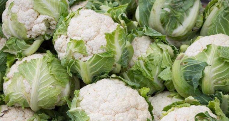 花菜什么时候成熟上市？如何判断花菜的最佳采摘时间？