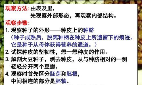 银杏果发芽快的方法是什么？需要多长时间才能看到效果？