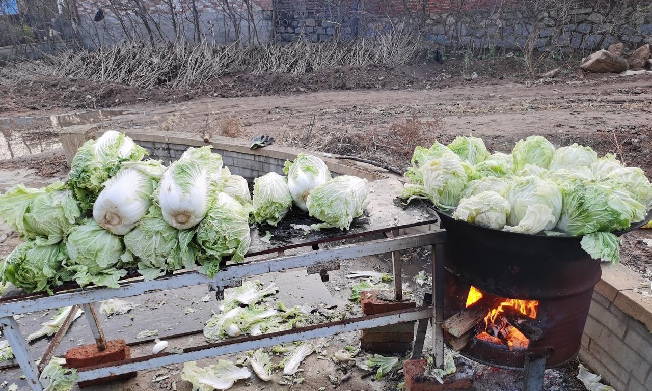想腌制好酸菜,手把手教你农村一直用的老方法,学会了年年用得上 想腌制好酸菜,手把手教你农村一直用的老方法,学会了年年用得上
