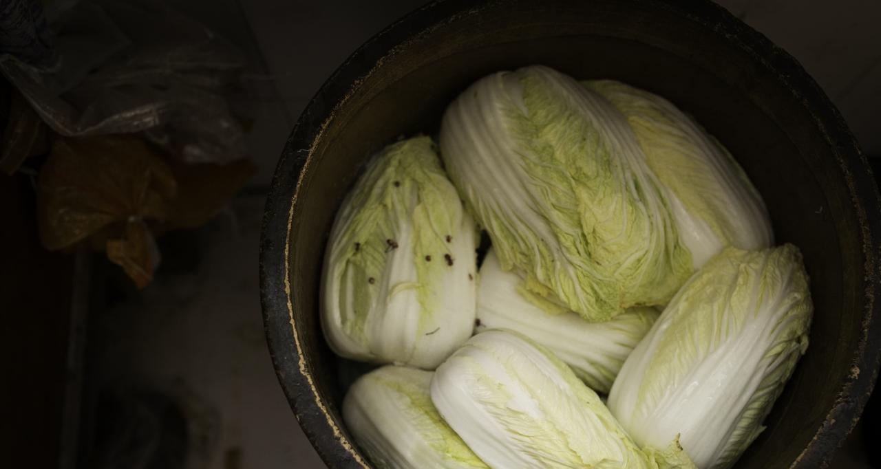 想腌制好酸菜,手把手教你农村一直用的老方法,学会了年年用得上 想腌制好酸菜,手把手教你农村一直用的老方法,学会了年年用得上