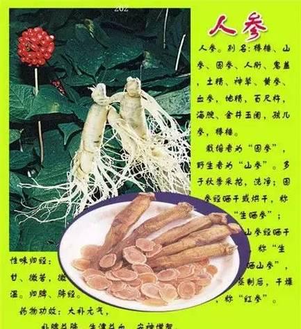 胡柚有哪些神奇的功效与作用？如何正确食用胡柚？