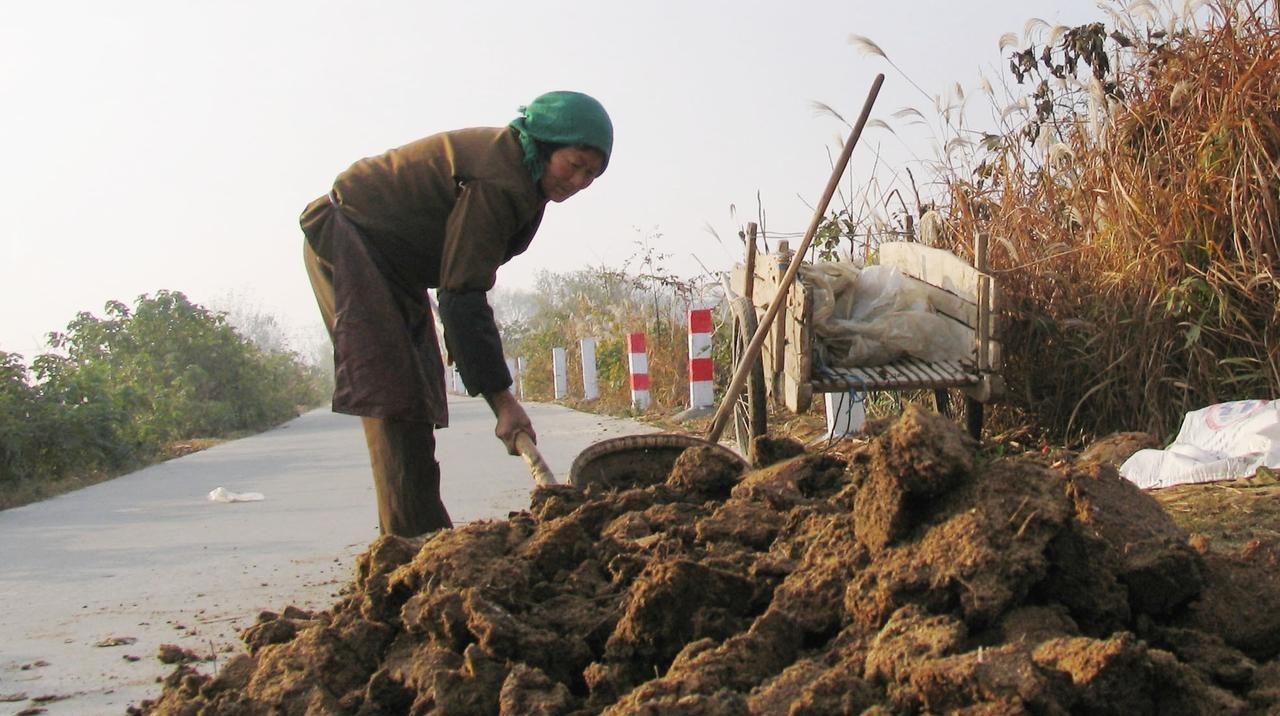 草木灰、鸡粪、羊粪,这些白给也不要,教你辨别真假,不再上当 草木灰、鸡粪、羊粪,这些白给也不要,教你辨别真假,不再上当