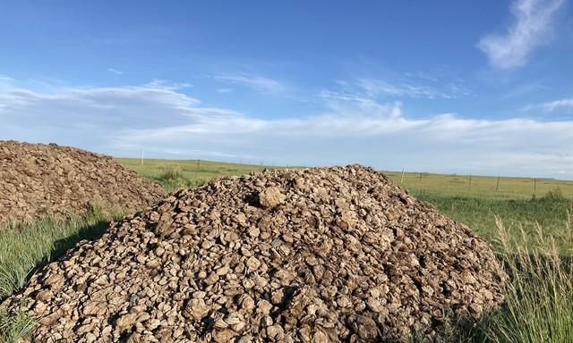 草木灰、鸡粪、羊粪,这些白给也不要,教你辨别真假,不再上当 草木灰、鸡粪、羊粪,这些白给也不要,教你辨别真假,不再上当