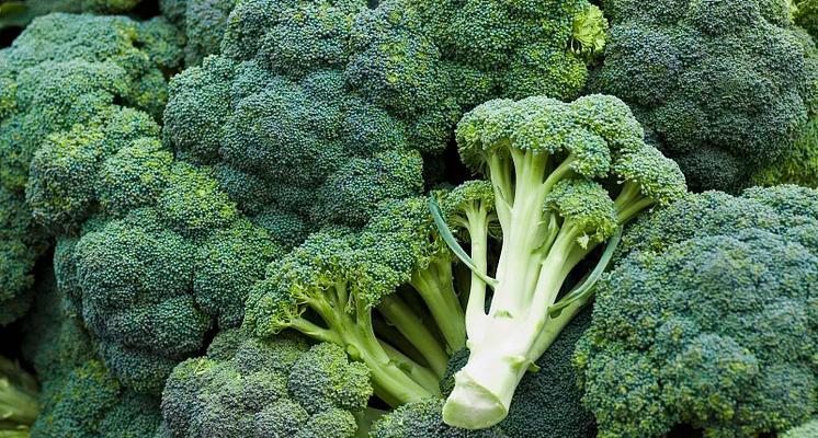 西兰花的保鲜期限是多久？如何正确储存以延长保质期？