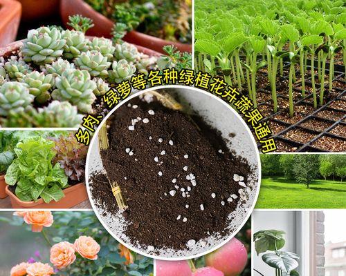 养花的土怎么配种花营养土的配制方法？哪种配方最适合家庭种植？