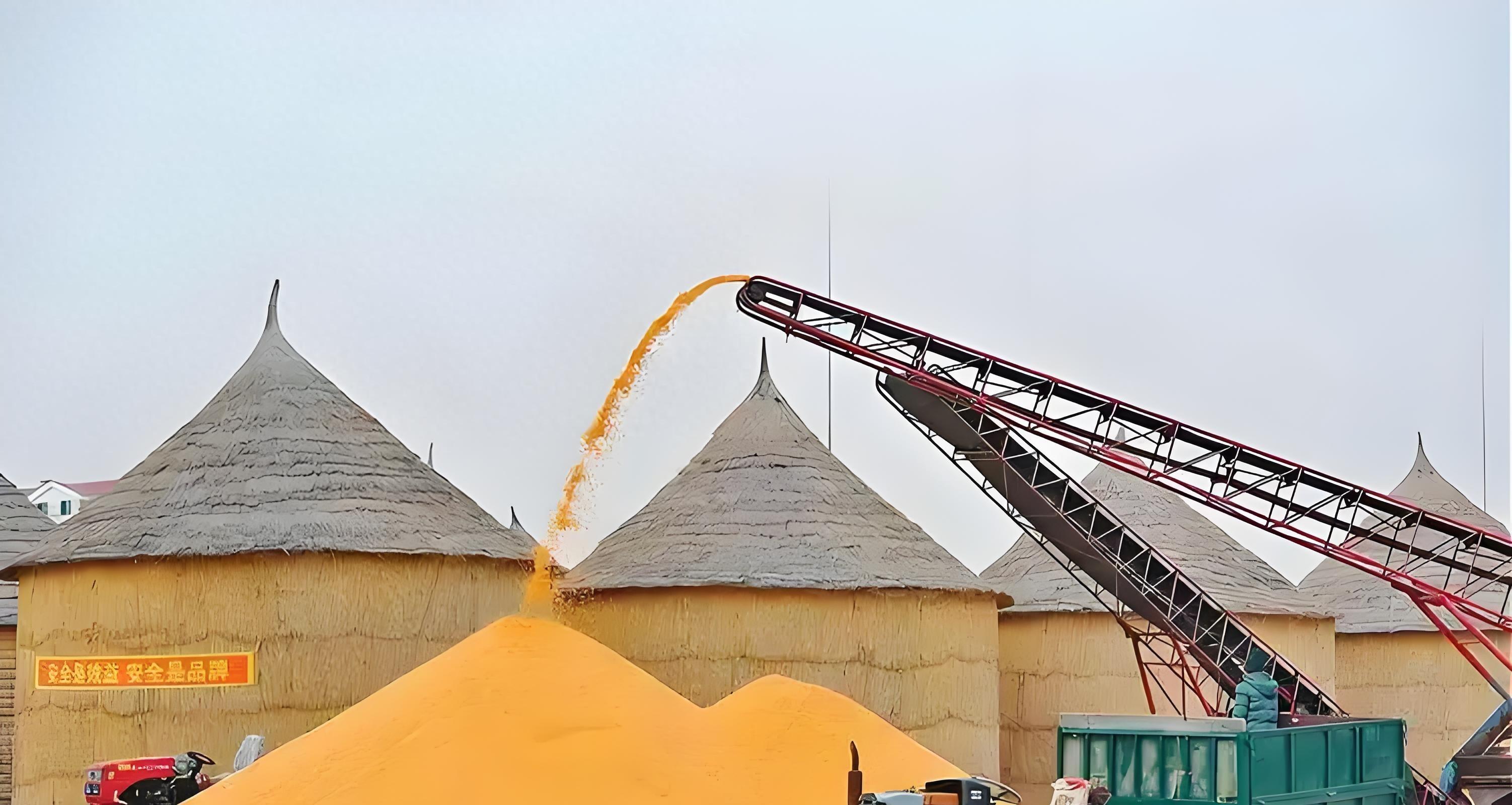 山东玉米价一波动，东北就紧张？揭秘两大产区粮价联动的3大真相