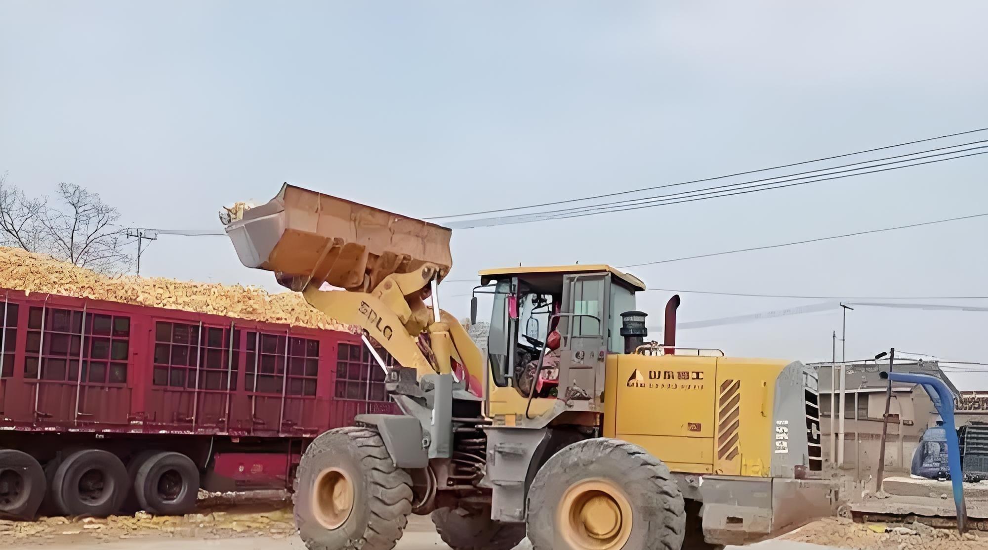 山东玉米价一波动,东北就紧张?揭秘两大产区粮价联动的3大真相 山东玉米价一波动,东北就紧张?揭秘两大产区粮价联动的3大真相