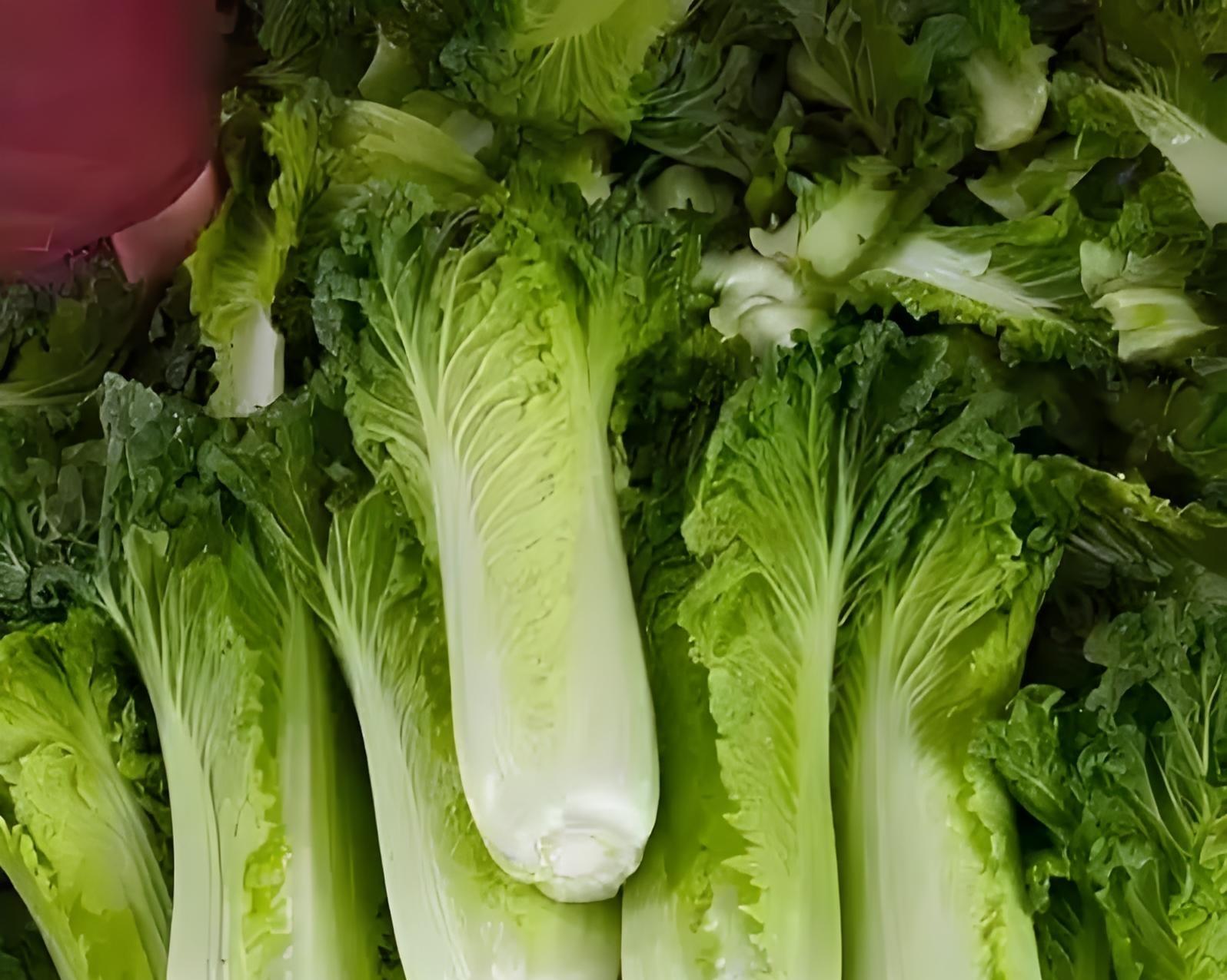 7句老农谚,真能让你种菜不白忙活?老把式揭秘:句句是干货! 7句老农谚,真能让你种菜不白忙活?老把式揭秘:句句是干货!