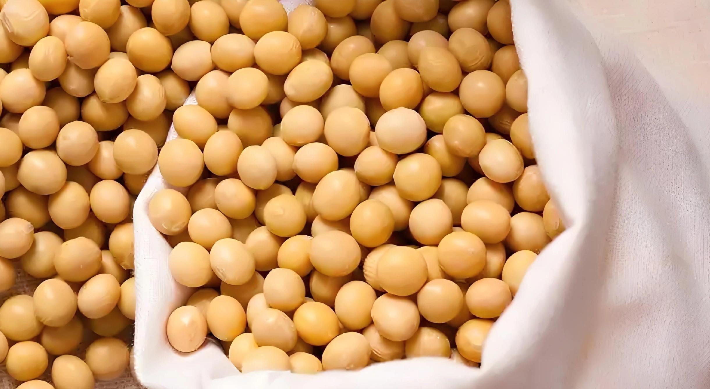 7句老农谚,真能让你种菜不白忙活?老把式揭秘:句句是干货! 7句老农谚,真能让你种菜不白忙活?老把式揭秘:句句是干货!