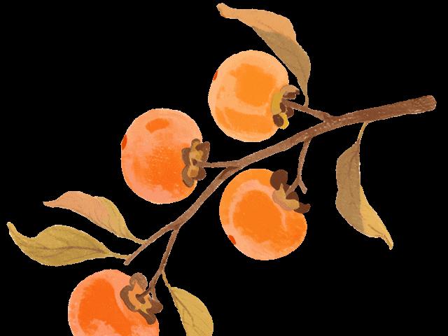 越来越冷!最低9℃!重庆接下来天气→ 越来越冷!最低9℃!重庆接下来天气→