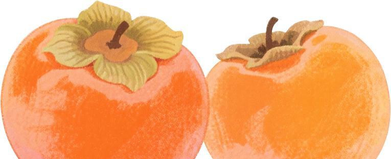 越来越冷!最低9℃!重庆接下来天气→ 越来越冷!最低9℃!重庆接下来天气→