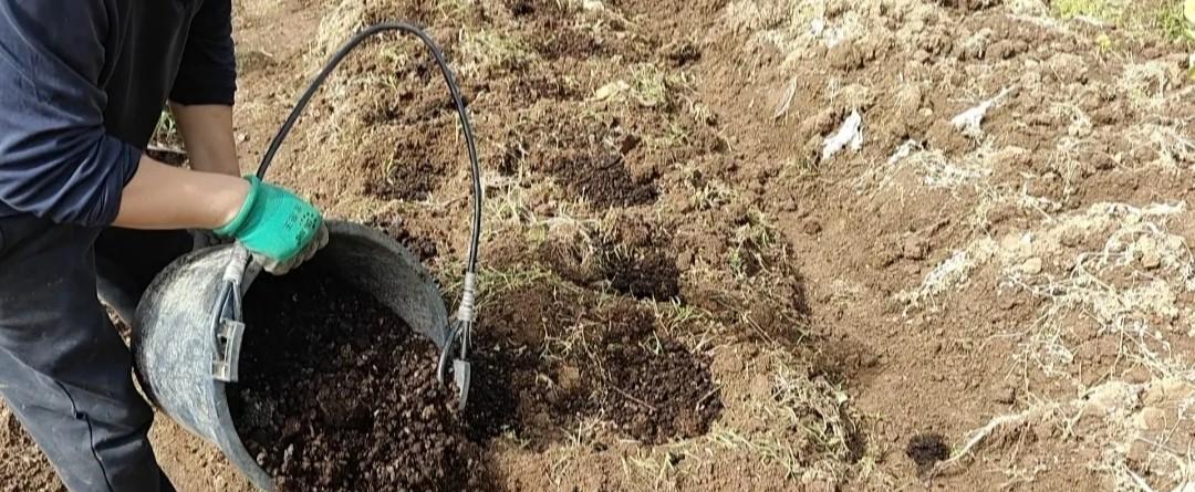 家庭菜园土壤变硬板结？4个简单方法让土质变松软，很多人不知道