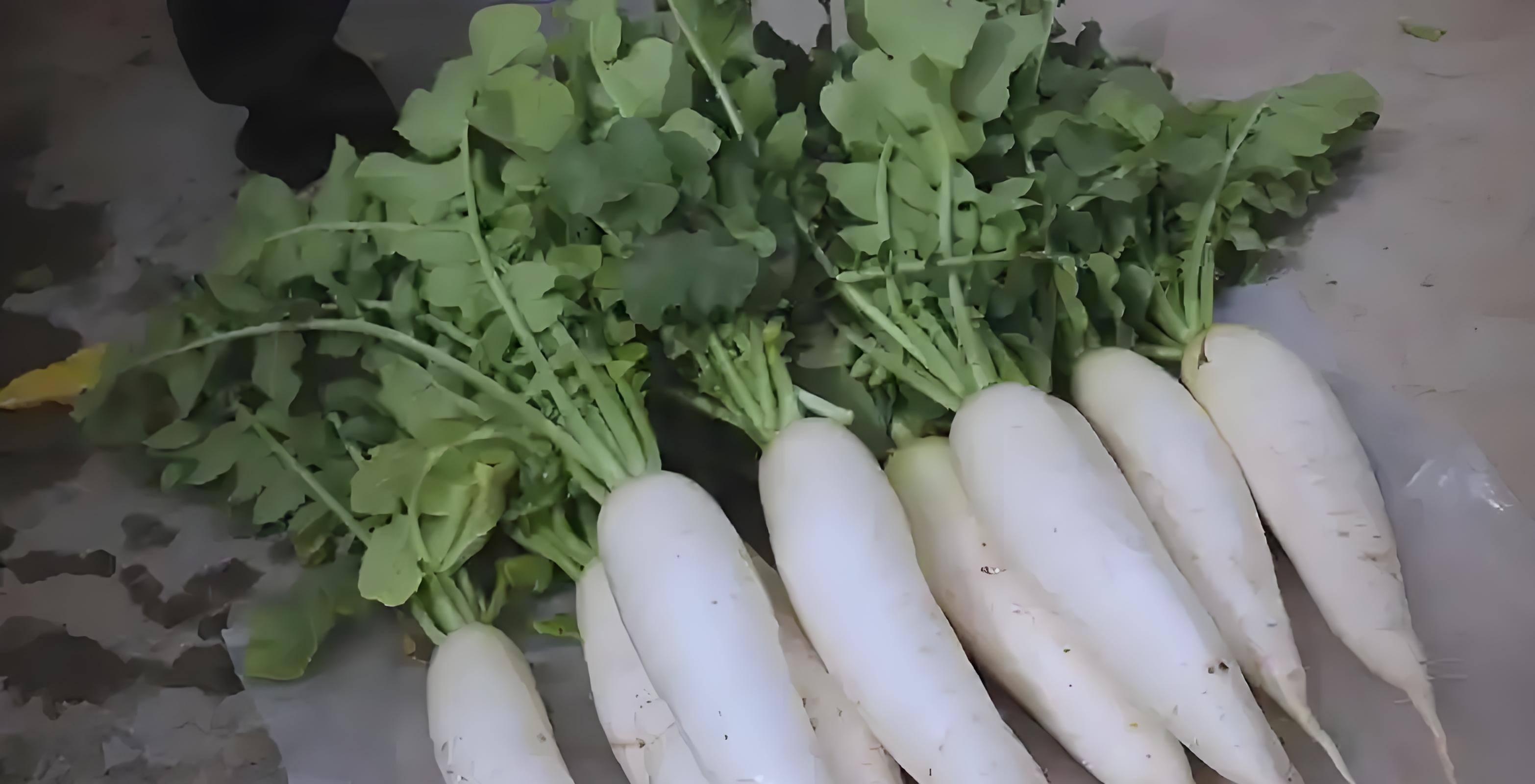 立冬萝卜不收会冻坏？老农3招判断采收期，晚收15天价钱翻番！