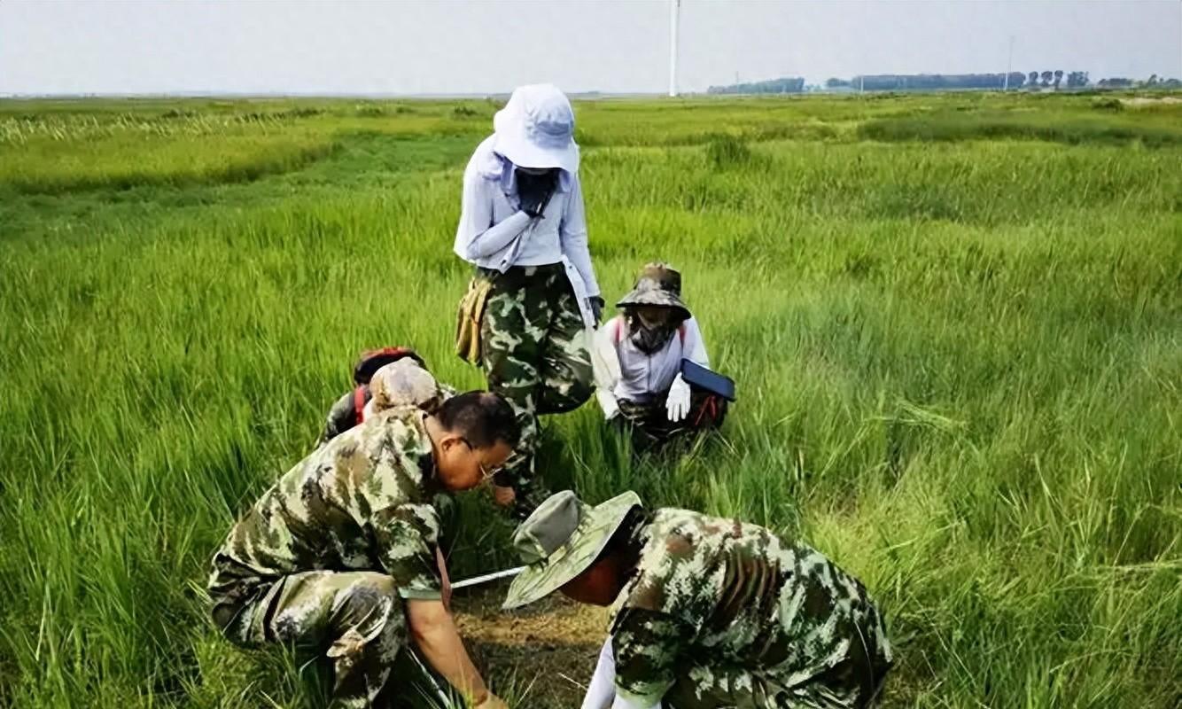 当地仅1人种植！专家下乡偶然发现，山西老汉为哄孩子种了几十年