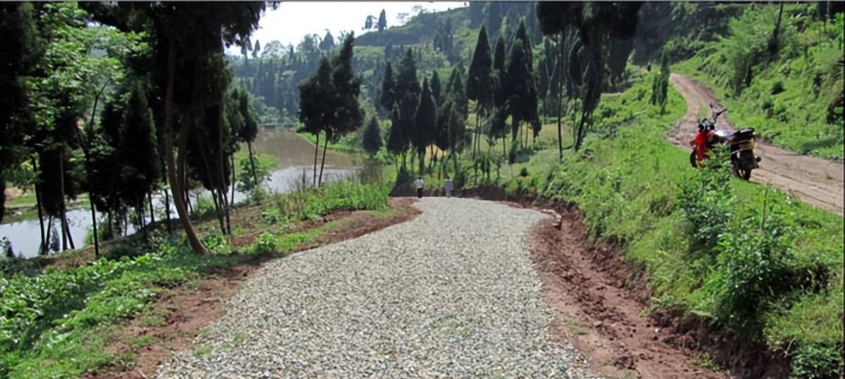 当地仅1人种植！专家下乡偶然发现，山西老汉为哄孩子种了几十年