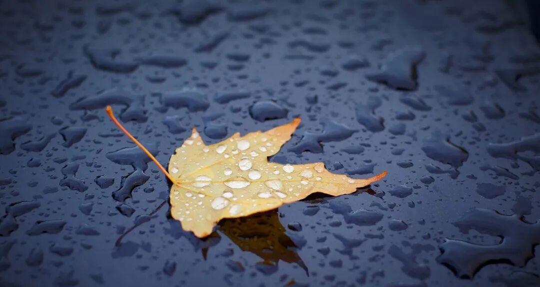 湖北即将大降温！荆门接下来的天气…