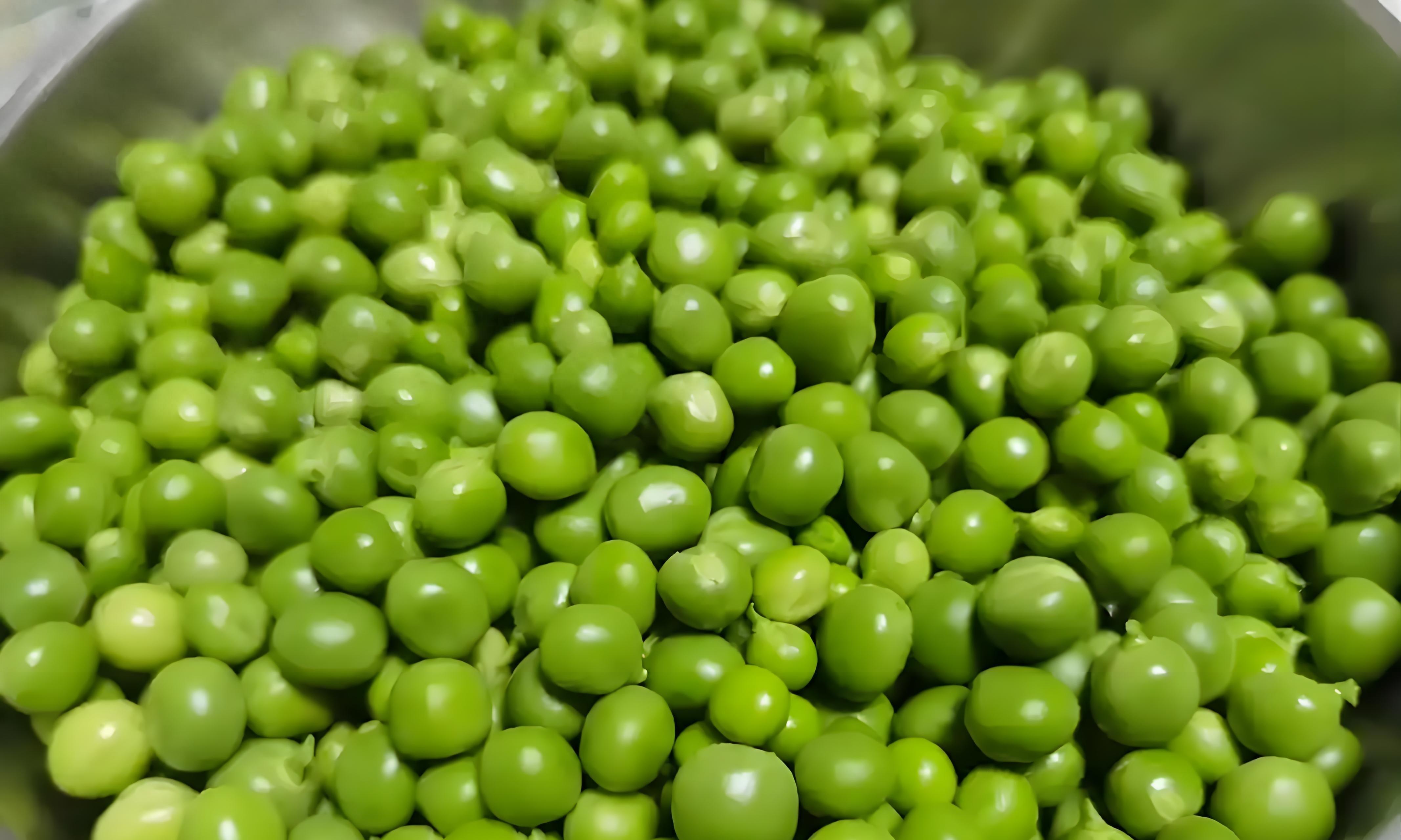 立冬种豌豆晚不晚?3种情况对号入座,现在动手还能吃一冬天!