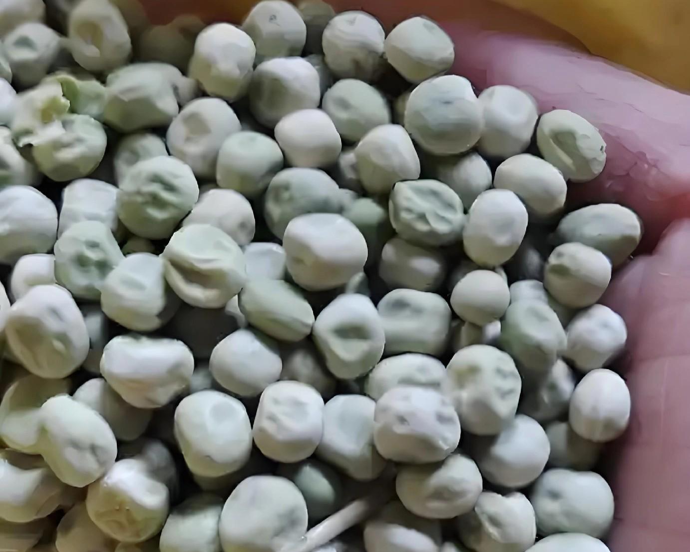 立冬种豌豆晚不晚？3种情况对号入座，现在动手还能吃一冬天！